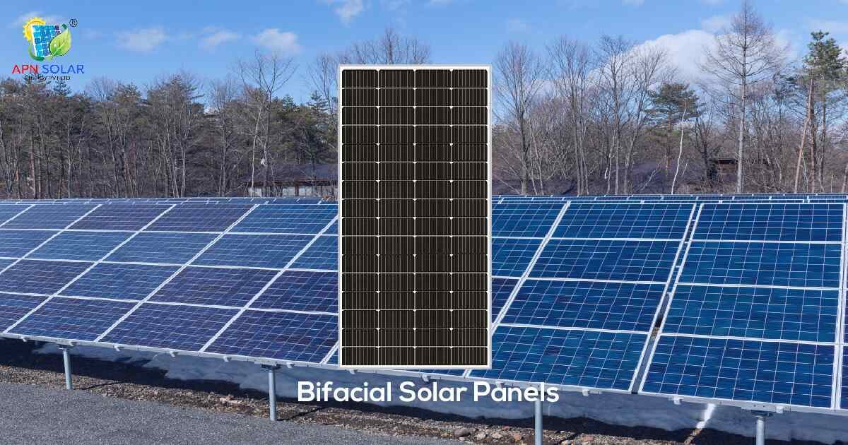 Bifacial Solar Panel Image