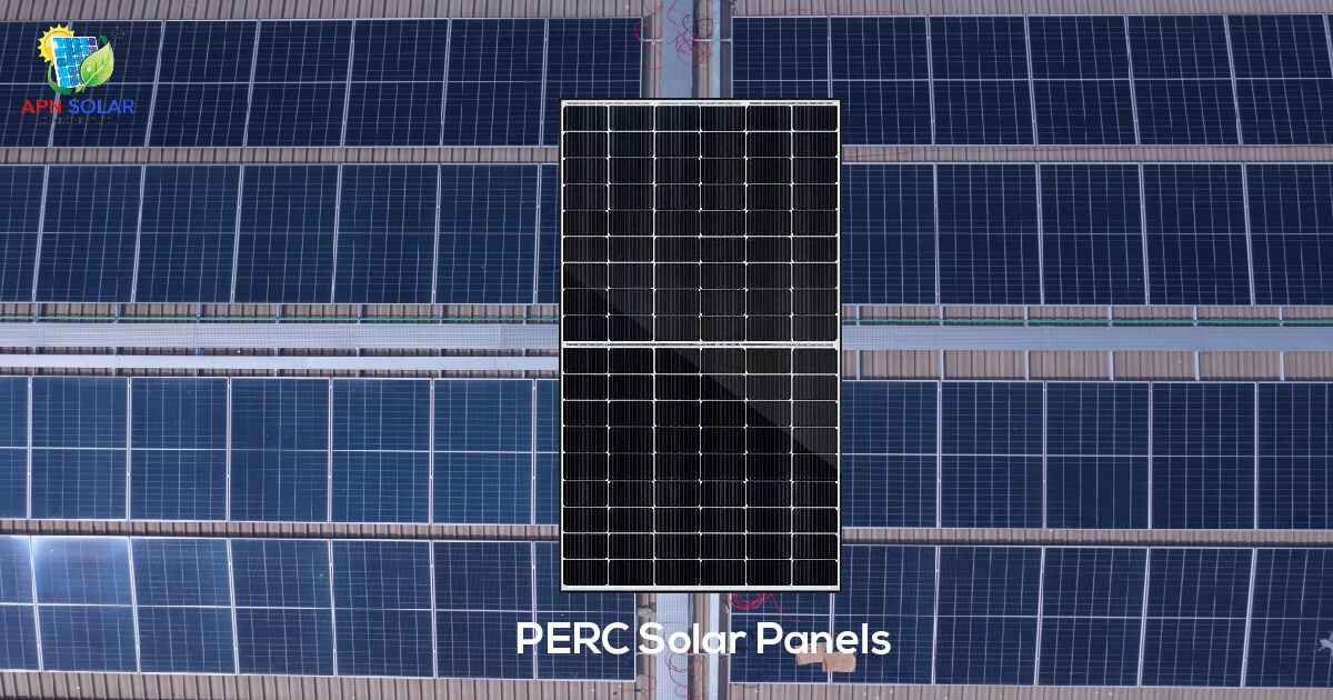 PERC Solar Panels Image